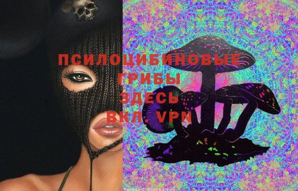 СК Липки