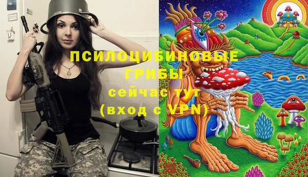 СК Липки