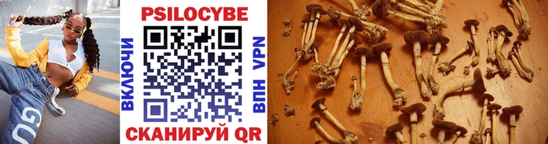 Псилоцибиновые грибы ЛСД  Шумиха 